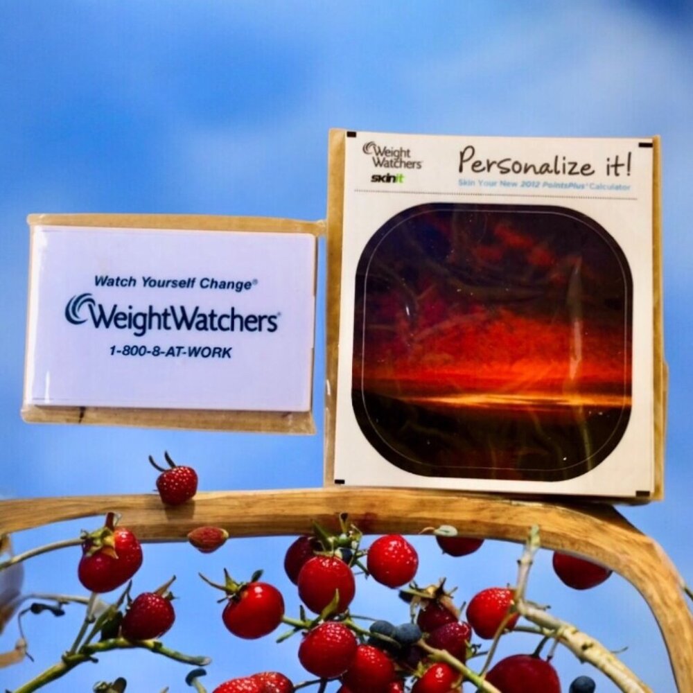 Weight Watchers Makeup Mirror Compact Folding + SKIN IT New Sealed